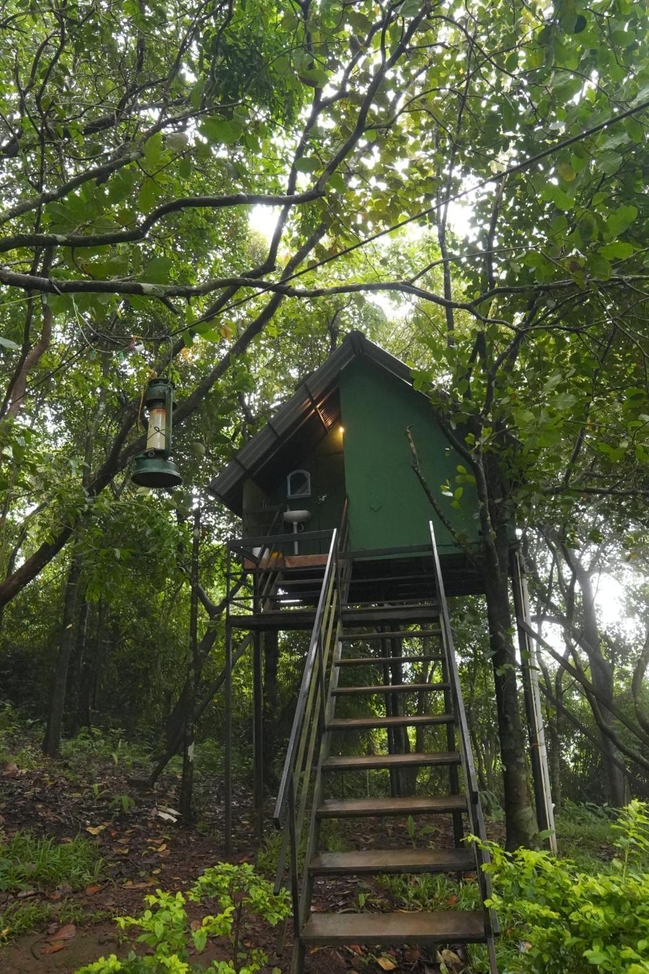 Regina Silva Camping & Nature Resort Paithalmala Exterior photo